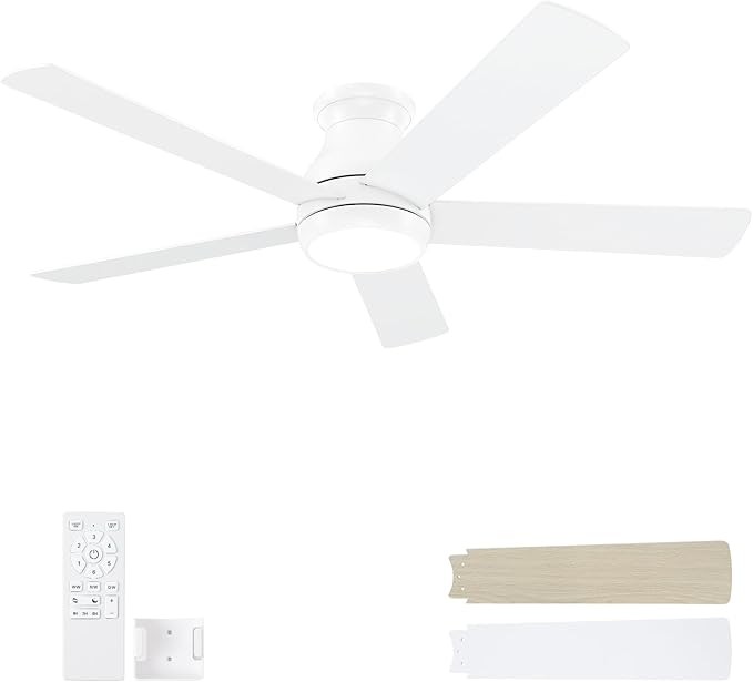 Ceiling Fans & Accessories