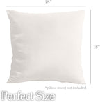 lalaLOOM Velvet Throw Pillow Covers, Set of 2, 18x18 Decorative Square Pillows Home Decor, Soft Accent Cases, Silky Machine Washable Pillowcases for Sofa, Couch, Bedroom, Living Room, Cream