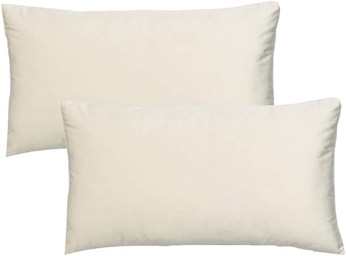 Beige Lumbar Velvet Soft Solid Throw Pillow Cases Decorative Rectangle Cozy Cushion Covers Home Decor for Living Room Couch Sofa Car 12"x20" Set of 2