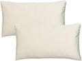 Beige Lumbar Velvet Soft Solid Throw Pillow Cases Decorative Rectangle Cozy Cushion Covers Home Decor for Living Room Couch Sofa Car 12"x20" Set of 2