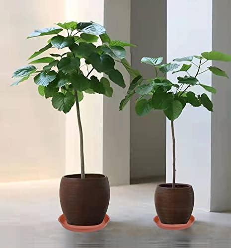 6 Pack of 10 inch Plant Saucer, Heavy Duty Plastic Pot Saucer 10" Round, Planter Tray for Pots, Plant Saucers for Indoors, Pot Trays for Planter 8"/9"/10" (10 inch, Terracotta)