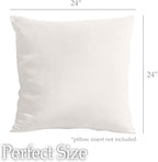 lalaLOOM Velvet Throw Pillow Covers, Set of 2, 24x24 Decorative Square Pillows Home Decor, Soft Accent Cases, Silky Machine Washable Pillowcases for Sofa, Couch, Bedroom, Living Room, Cream