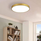 Gold Flush Mount Ceiling Light 2 Pack,9 inch Modern Metal Gold LED Ceiling Light Fixtures,Low Profile,3000K-5000K Round Flat Pane Ceiling Mount for Bedroom,Living Room,Hallway
