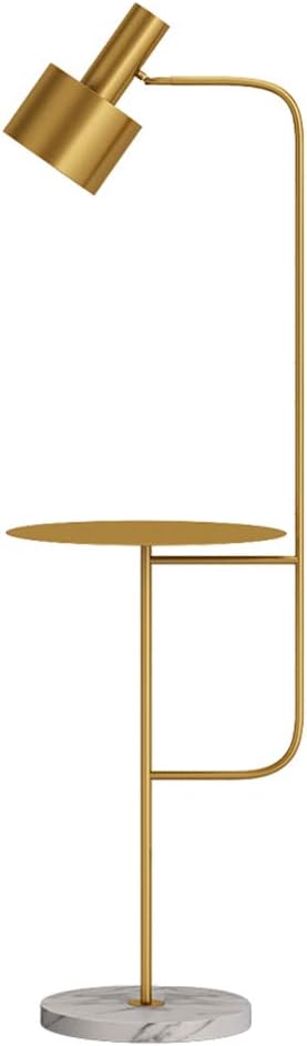 Hsyile Lighting KU300217 Contemporary Modern Creative Floor Lamp with a Table,Suitable for Living Room,Den,Office,Bedroom - E26 Base - Brushed Brass Finish