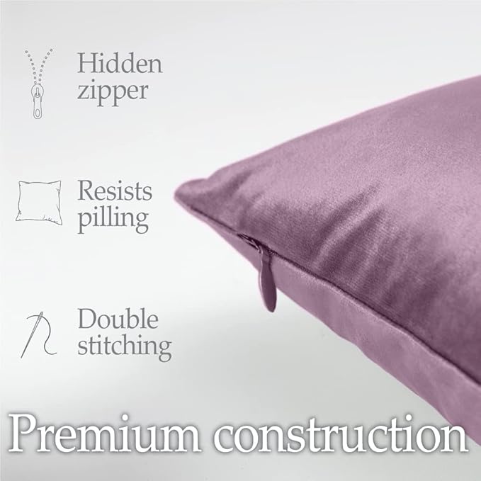 lalaLOOM Velvet Throw Pillow Covers, Set of 2 Decorative Square Pillows Home Decor, Soft Accent Cases, Silky Machine Washable Pillowcases for Sofa, Couch, Bedroom, Living Room, 16x16, Plum Purple