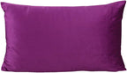 12x20 Inch Set of 2 Rectangle Lumbar Velvet Soft Throw Pillow Cases Solid Cushion Covers Home Decorative for Couch Sofa Bedroom, Purple Magenta