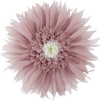 Handmade 3D Flower Pillow Decorative Round Velvet Throw Pillows with Inserts Included Cute Soft Elegant Daisy Cushion for Bed Couch Bedroom Living Room Christmas Home Decor 12 Inch Dusty Pink