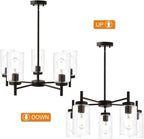 VINLUZ Contemporary 5-Light Large Chandeliers Oil Rubbed Bronze Modern Lighting Fixtures Hanging Clear Glass Shades Pendant Lighting for Dining Room Living Room Kitchen