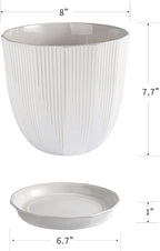 ADN Ceramic Planter - Large Plant Pot Indoor Ceramic Pots for Plants with Drainage Hole and Saucer for Home Decor, White, 8 Inch