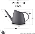 WhaleLife Indoor Watering Can for House Bonsai Plants (1.4L, Gray)