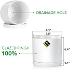 Aveyas 8 inch Ceramic Plant Pot with Drainage Hole and Saucer - Suitable for Indoor and Outdoor Use, Modern Planters for House Garden Flower Tree Snake Monstera Plants (8", Matte White)