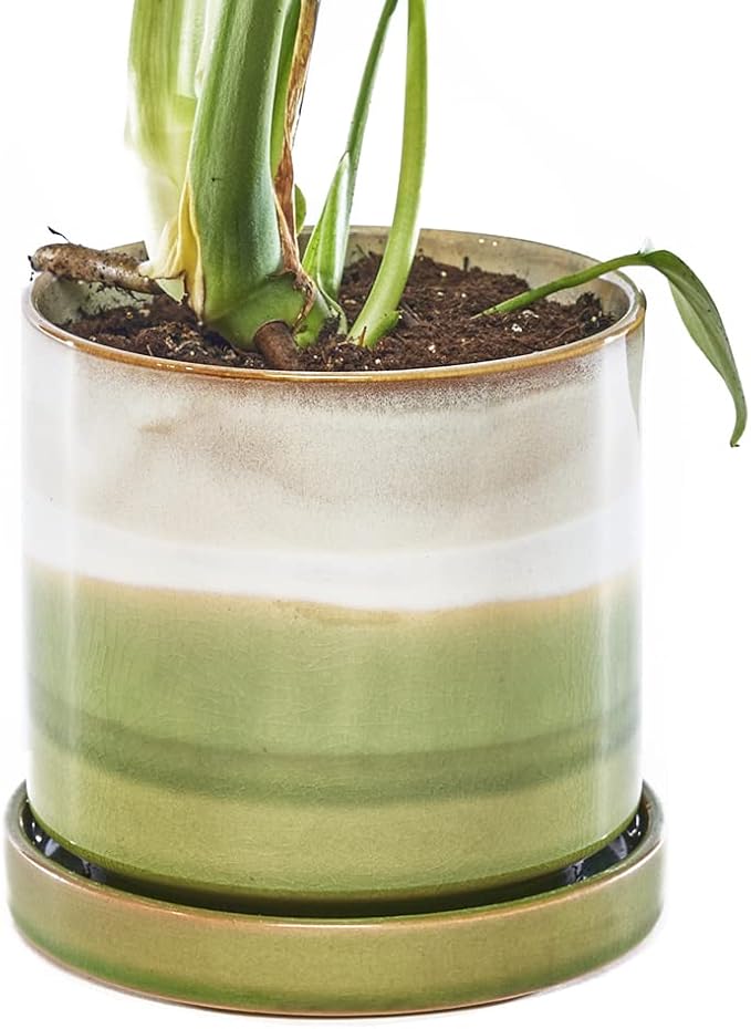 CHIVE ‘Minute’ Ceramic Planter Pot — Cute 5” Colorful Succulent Pots for Indoor & Outdoor House Plants — Beautiful Modern Farmhouse Kitchen Decor — Green Layers