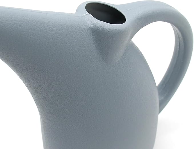 Plant Indoor and Outdoor Watering Can - 1/2 Gallon
