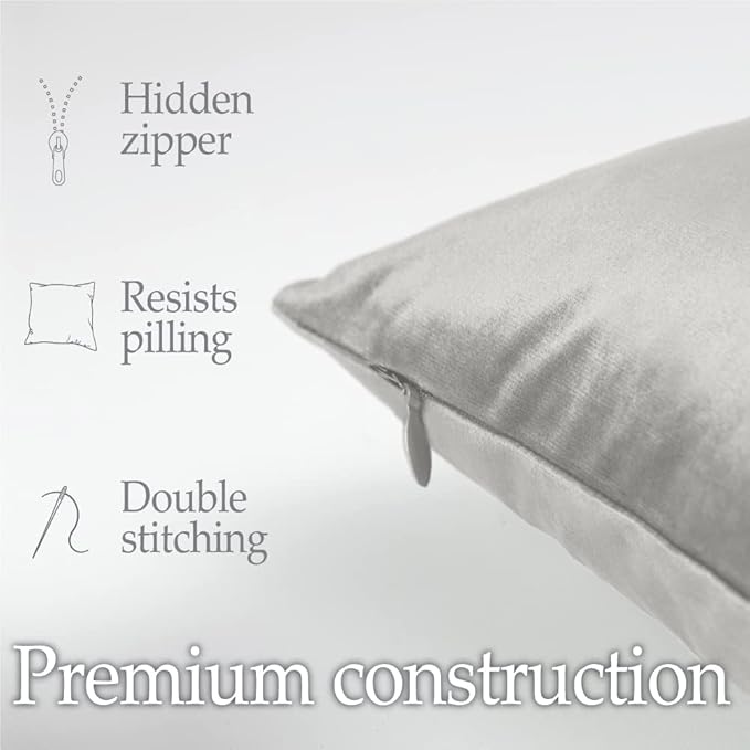 lalaLOOM Velvet Throw Pillow Covers, Set of 2 Decorative Square Pillows Home Decor, Soft Accent Cases, Silky Machine Washable Pillowcases for Sofa, Couch, Bedroom, Living Room, 16x16, Light Gray