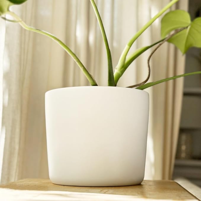Willowy 9 Inch Matte White Ceramic Planter with Drainage - Ceramic Plant Pots for Indoor, White Indoor Planter, Flower Pot, 9 Inch Plant Pot