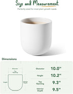 LE TAUCI 10 Inch Plant Pot, Ceramic Pots for Plants with Drainage Hole and Rubber Plug, Plant Pots Indoor for Olive Tree, Cylinder Planter Pot for Home Patio Office, White