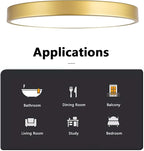 2 Pack Gold Flush Mount Ceiling Light, 12 Inch Metal Modern Round Gold Light Fixtures - 3 Colors, 3000K-5000K LED, 20W Low Profile Ceiling Lighting for Bedroom, Living Room, Hallway