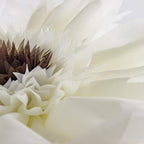 White Flower Pillow Cute Round Decorative Throw Pillows Handmade 3D Daisy Accent Pillowcase with Inserts Soft Velvet Cushion for Bed Couch Chair Car Bedroom Living Room Home Decor 14 Inch
