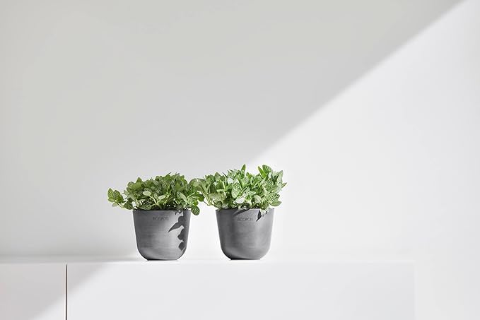 Ecopots Oslo Mini Durable Modern Round Indoor/Outdoor Recycled-Based Composite Flower Pot Planter, Grey, 4.5"