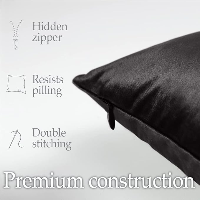 lalaLOOM Velvet Throw Pillow Covers, Set of 2, 24x24 Decorative Square Pillows Home Decor, Soft Accent Cases, Silky Machine Washable Pillowcases for Sofa, Couch, Bedroom, Living Room, Jet Black