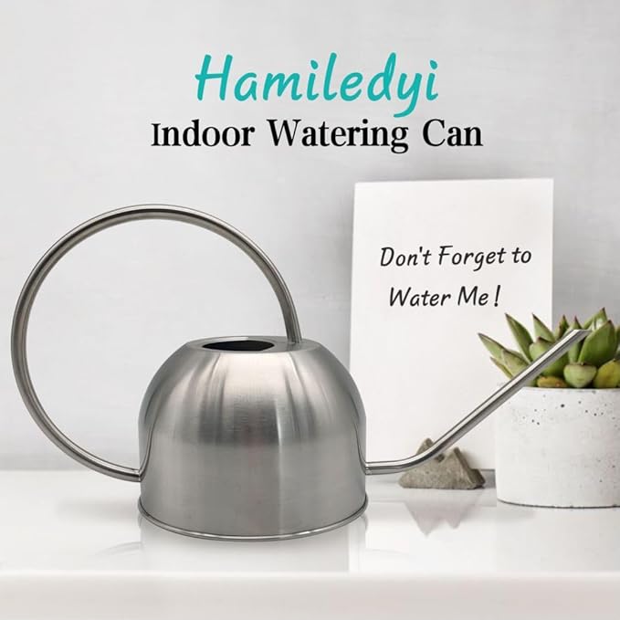 Hamiledyi 50 oz/1500 ml Stainless Steel Watering Can with Long Spout Metal Watering Can Indoor Outdoor Flower Watering Pot for Garden Orchid Bonsai Office Desk Plants (Silver)