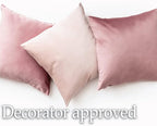 lalaLOOM Velvet Throw Pillow Covers, Set of 2 Decorative Square Pillows Home Decor, Soft Accent Cases, Silky Machine Washable Pillowcases for Sofa, Couch, Bedroom, Living Room, 16x16, Dusty Rose