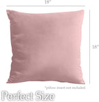 lalaLOOM Velvet Throw Pillow Covers, Set of 2, 18x18 Decorative Square Pillows Home Decor, Soft Accent Cases, Silky Machine Washable Pillowcases for Sofa, Couch, Bedroom, Living Room, Dusty Rose