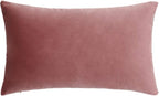 Jam Lumbar Velvet Soft Solid Throw Pillow Cases Decorative Rectangle Cozy Cushion Covers Home Decor for Living Room Couch Sofa Car 12"x20" Set of 2