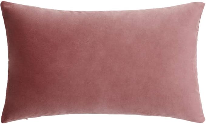 Jam Lumbar Velvet Soft Solid Throw Pillow Cases Decorative Rectangle Cozy Cushion Covers Home Decor for Living Room Couch Sofa Car 12"x20" Set of 2