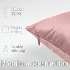 lalaLOOM Velvet Throw Pillow Covers, Set of 2, 20x20 Decorative Square Pillows Home Decor, Soft Accent Cases, Silky Machine Washable Pillowcases for Sofa, Couch, Bedroom, Living Room, Dusty Rose