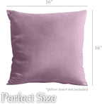 lalaLOOM Velvet Throw Pillow Covers, Set of 2 Decorative Square Pillows Home Decor, Soft Accent Cases, Silky Machine Washable Pillowcases for Sofa, Couch, Bedroom, Living Room, 16x16, Plum Purple