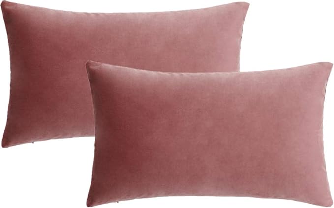 Jam Lumbar Velvet Soft Solid Throw Pillow Cases Decorative Rectangle Cozy Cushion Covers Home Decor for Living Room Couch Sofa Car 12"x20" Set of 2