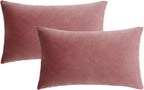 Jam Lumbar Velvet Soft Solid Throw Pillow Cases Decorative Rectangle Cozy Cushion Covers Home Decor for Living Room Couch Sofa Car 12"x20" Set of 2
