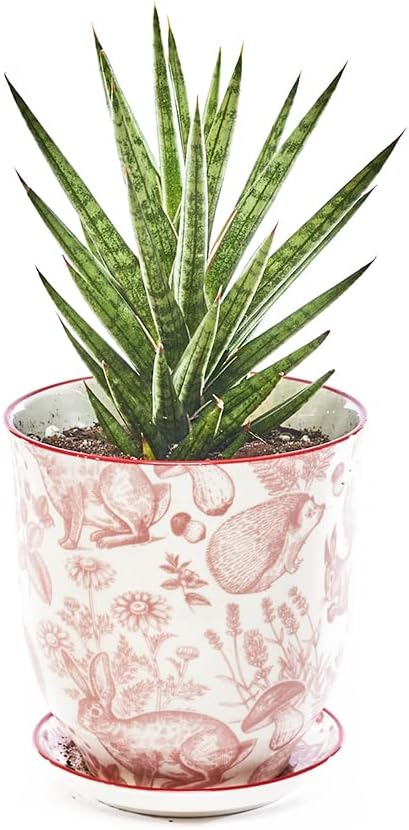 CHIVE ‘Liberte’ Ceramic Succulent Pots — 4.25” Cute Vintage Farmhouse Style Planters for Indoor Plants — Beautiful Home & Kitchen Decor — Red Squirrels