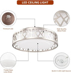 Flush Mount Light Fixtures, 12 Inch Dimmable LED Kitchen Ceiling Lights, 15W 1100 Lumens 3000K Warm White, ETL Listed,Brush Nickel Finished,Metal Body and Acrylic Shade