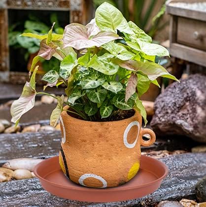 4 Pack of 12 inch Plant Saucer, Heavy Duty Plastic Bird Bath Bowl 12 inch, Plant Tray for Pots, Flower Plant Saucers for Indoors, Plant Trays for Planter 11"/12" (12 inch, Terracotta)