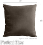 lalaLOOM Velvet Throw Pillow Covers, Set of 2, Soft Accent Cases for Pillows, Decorative Square Home Decor, Silky Machine Washable Pillowcases for Sofa, Couch, Bedroom, Living Room, 16x16, Brown