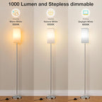 Ambimall Remote Control Floor Lamp, Stepless Dimmable, 64 Inches Tall, Include 9W Bulb, Standing Lamp for Living Room Bedroom Office (White & Sliver)