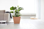 Ecopots Rotterdam Durable Modern Square Indoor/Outdoor Recycled-Based Composite Flower Planter, Terracotta Color, 15.75"