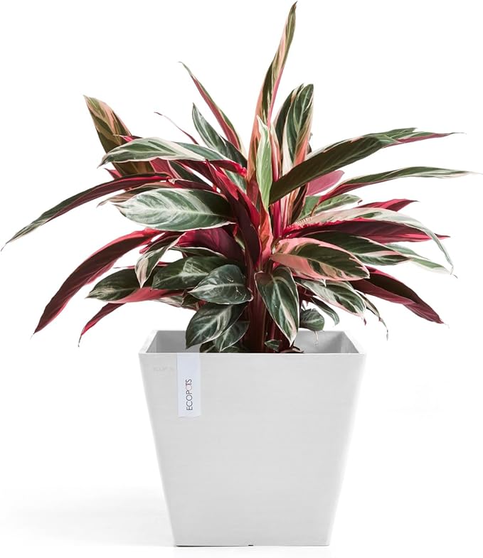 Ecopots Rotterdam Durable Modern Square Indoor/Outdoor Recycled-Based Composite Flower Planter, Pure White, 15.75"