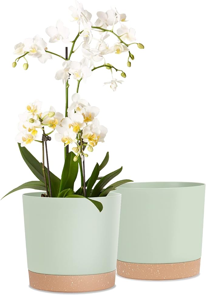 kubvici Indoor Plant Pots Set of 2 Planters 8 inch Plastic Planter with Hole & Saucer Modern Decorative for Outdoor Garden Home (Green, 8 inch)