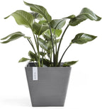 Ecopots Rotterdam Durable Modern Square Indoor/Outdoor Recycled-Based Composite Flower Planter, Grey, 15.75"