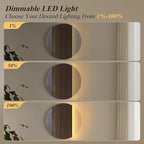 ONEWISH LED Wall Sconce, Dimmable Mirror Wall Lamp,16.93 inch Round Wall Lights for Bedroom with Memory Function, Wall Lamps for Living Room Entryway, Smoky Gray