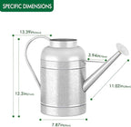 2.3 Gallon Bowl Decorative Countryside Style Water Can with Removable Spout, Galvanized Watering Can for Outdoor Indoor Plants, Metal Watering Can for Indoor Plants and Garden Flower