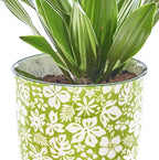 CHIVE ‘Liberte’ Ceramic Succulent Pots — 4.25” Cute Vintage Farmhouse Style Planters for Indoor Plants — Beautiful Home & Kitchen Decor — Green Garden