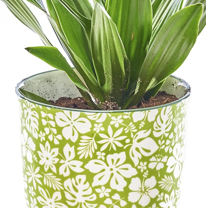 CHIVE ‘Liberte’ Ceramic Succulent Pots — 4.25” Cute Vintage Farmhouse Style Planters for Indoor Plants — Beautiful Home & Kitchen Decor — Green Garden