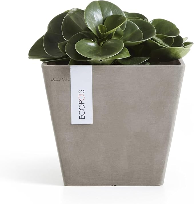 Ecopots Rotterdam Durable Modern Square Indoor/Outdoor Recycled-Based Composite Flower Planter, Taupe, 8"