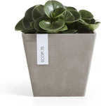 Ecopots Rotterdam Durable Modern Square Indoor/Outdoor Recycled-Based Composite Flower Planter, Taupe, 8"