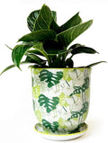 CHIVE 'Liberte' Ceramic Succulent Planters — Cute 4.25 Inch Vintage Style Pots for Indoor Plants — Beautiful Home and Kitchen Décor — Monstera