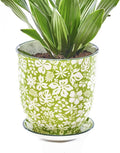 CHIVE ‘Liberte’ Ceramic Succulent Pots — 4.25” Cute Vintage Farmhouse Style Planters for Indoor Plants — Beautiful Home & Kitchen Decor — Green Garden